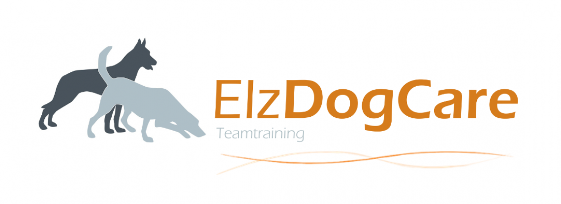 Teamtraining - Spürhund