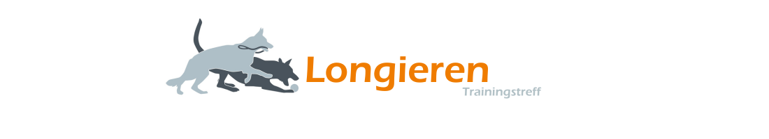 Trainingstreff Longieren