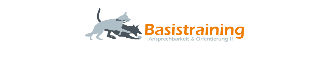Basistraining: Ansprechbarkeit & Orientierung II - real life edition